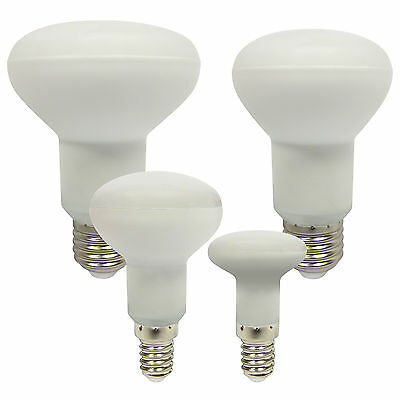 Spot Lamp